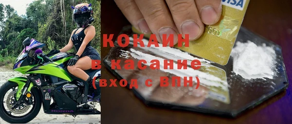 ECSTASY Алзамай