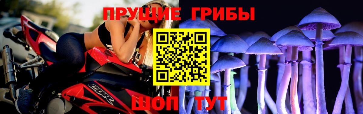 Знаменск  Галлюциногенные грибы Cubensis  Вход с VPN 